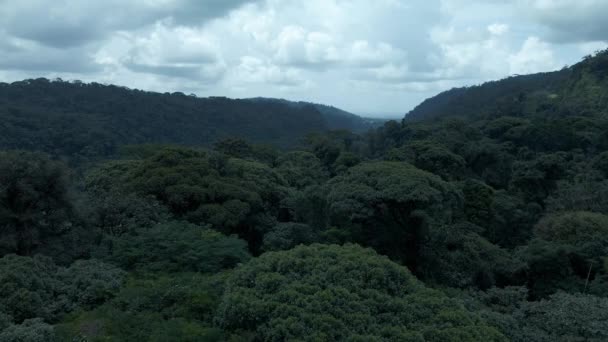 Drone voando sobre a floresta tropical Central Valley e selvas da Costa Rica — Vídeo de Stock