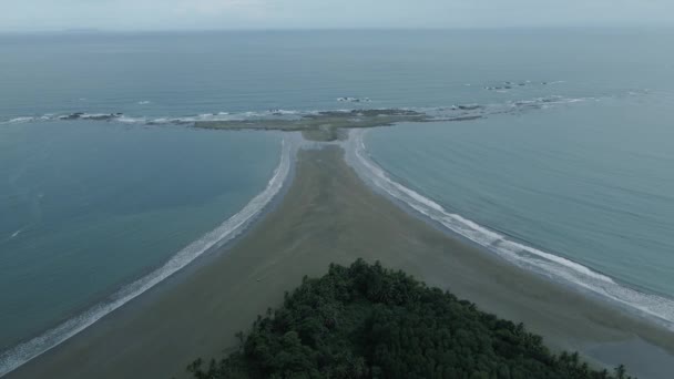 Ogon wieloryba plaża Marina Ballena w Kostaryka drone wideo — Wideo stockowe