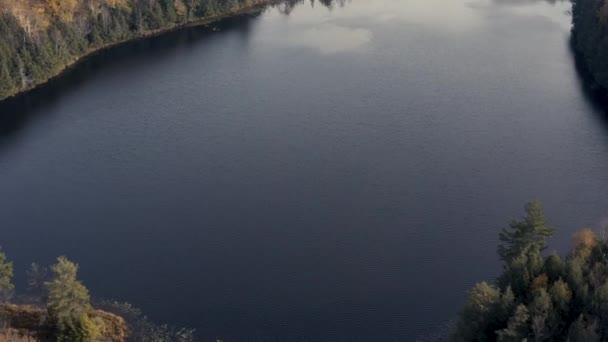 ウィスコンシン州北部中西部の秋の色湖と空中ドローンビデオ — ストック動画