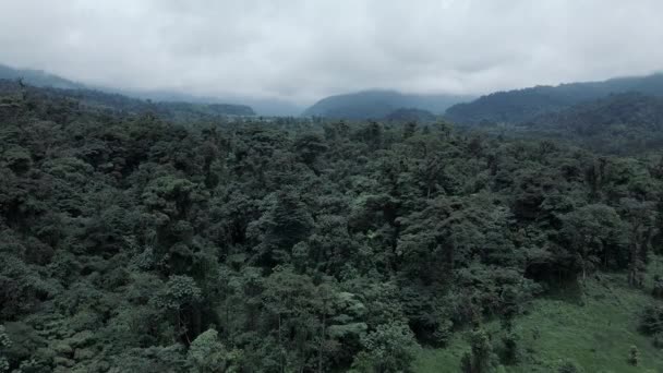 Drone voando sobre a floresta tropical Central Valley e selvas da Costa Rica — Vídeo de Stock