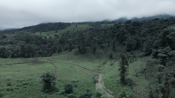 Drönare flyger över Central Valley regnskog och djungler i Costa Rica — Stockvideo