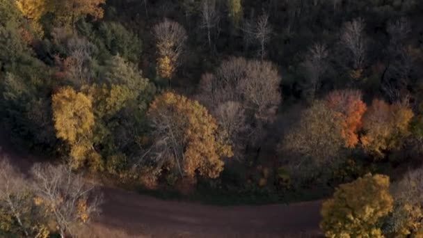 Norte de Wisconsin Midwest Fall Colores Aerial Drone video — Vídeo de stock