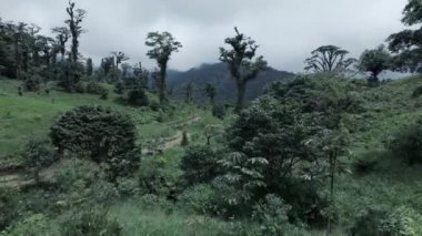 Düşük Yerli Drone Orta Vadi 'nin üzerinden uçuyor.