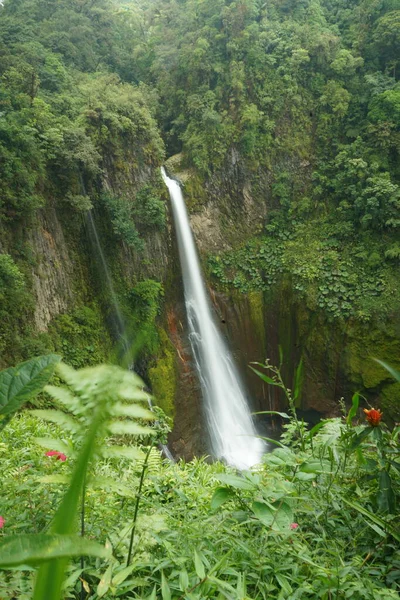 Bajos del Toro Waterfall of Costa Rica Drone — стокове фото