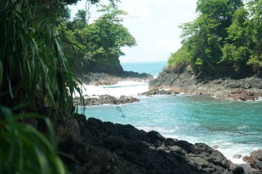 Kosta Rika 'daki Manuel Antonio Coastline Ulusal Parkı