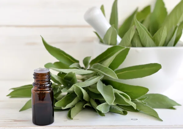 Sage oil — Stock Photo, Image