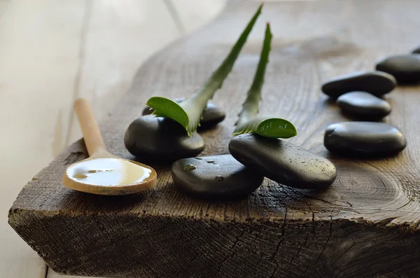 Gel de aloe vera — Foto de Stock