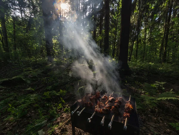 kömürlerin üzerinde et