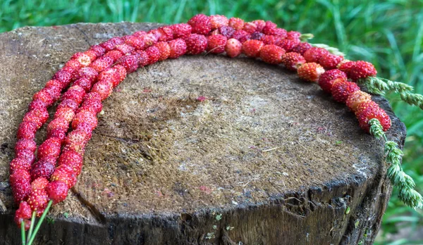 çilek kaynaklanıyor sinirli