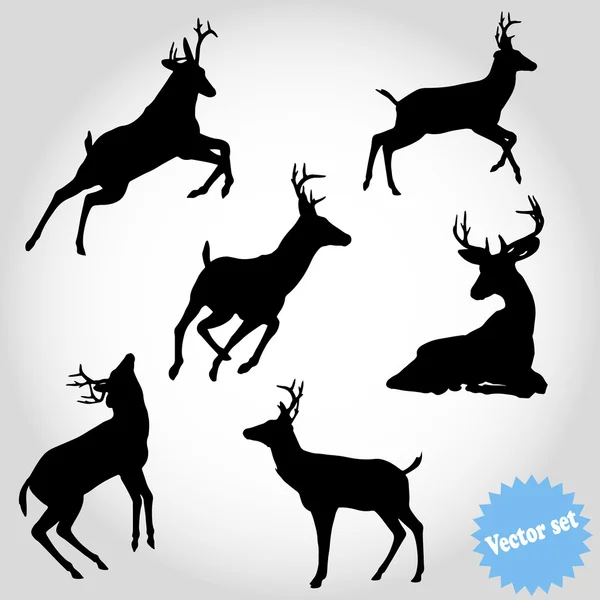 Beyaz arkaplanda vektör ayarlı siluet geyik