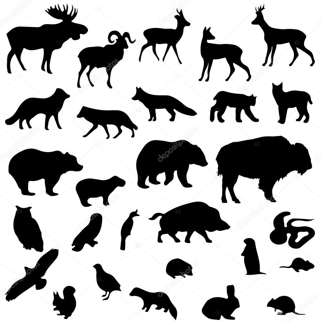 Wild animals vector set silhouettes Stock Vector Image by ©borcat 48006683