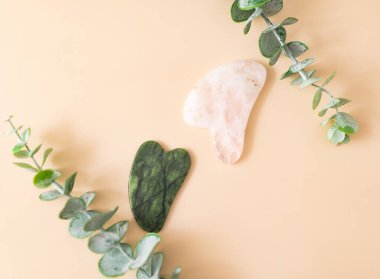 Okaliptüs dallı bej bir arka planda pembe ve yeşil yeşim taşından yapılmış Çin gua sha taşları. Üst Manzara. Geleneksel Çin yüz masajı için özel şekilli yeşim taşı. Yüz bakımı. masaj