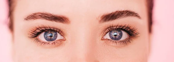 Primer plano de una cara de chicas bonitas con hermosos ojos azules grandes, pestañas grandes y cejas —  Fotos de Stock