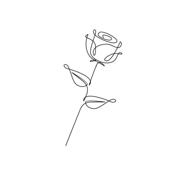 Uma Linha Rosa Flor Minimalismo Desenho Vetor Ilustração Floral Arte —  Vetores de Stock