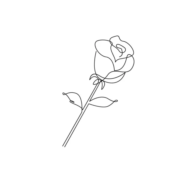 Uma Linha Rosa Flor Minimalismo Desenho Vetor Ilustração Floral Arte —  Vetores de Stock