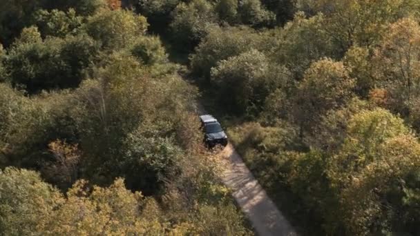 Vista Aérea Del Coche Que Conduce Bosque — Vídeo de stock