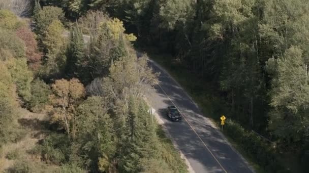 Polizeiauto Auf Einer Straße Wald Ontario Kanada — Stockvideo