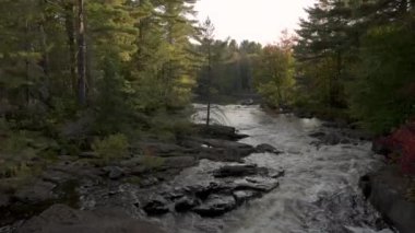 Nehir ormandan akıyor, Kuzey Körfezi, Ontario, Kanada