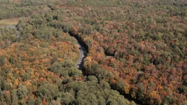 Road Forest Autumn North Bay Ontario Canada — Vídeo de stock