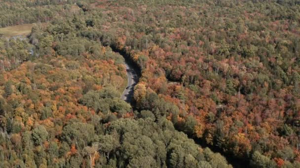 Road Forest Seen High North Bay Ontario Canada — Vídeo de stock