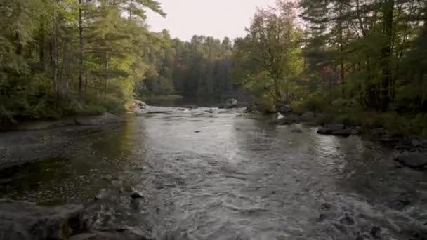 River Flowing Forest North Bay Ontario Canada — Vídeo de stock