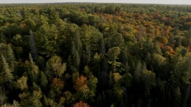 Sonbaharda yukarıdan, Kuzey Körfezi, Ontario, Kanada