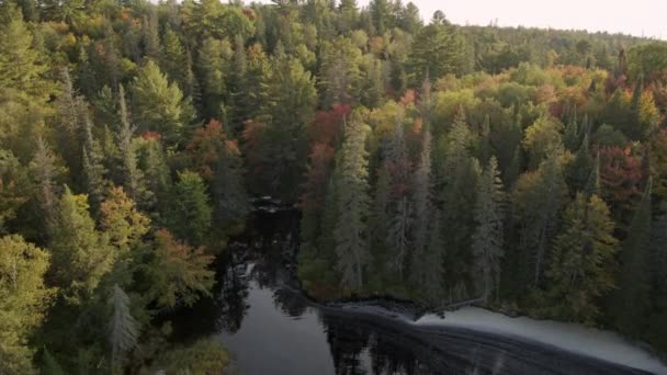 Fluss Und Wald Herbst North Bay Ontario Kanada — Stockvideo