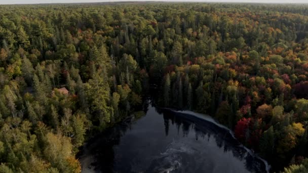 Forest Lake North Bay Ontario Canada — Vídeo de stock