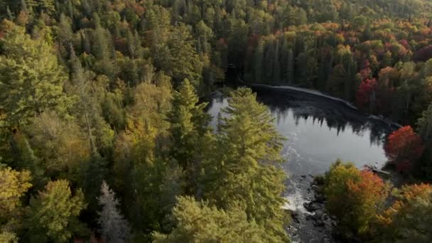 Wald Und See Von Oben North Bay Ontario Kanada — Stockvideo