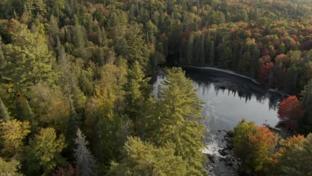 Forest Lake Seen Drone North Bay Ontario Canada — Vídeo de stock