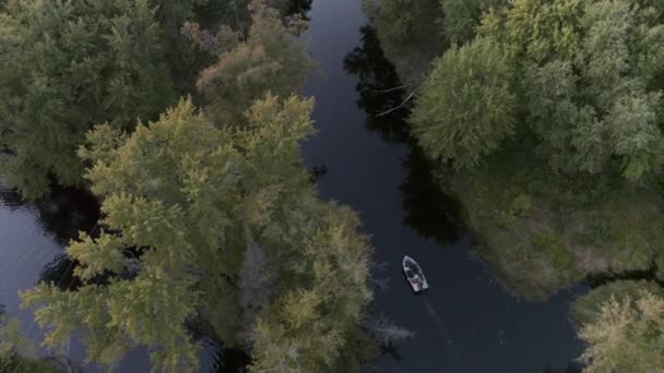 Motorboot Fluss Wald North Bay Ontario Kanada — Stockvideo