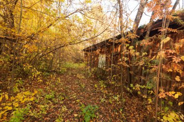 Çocuk kampının terk edilmiş toprakları