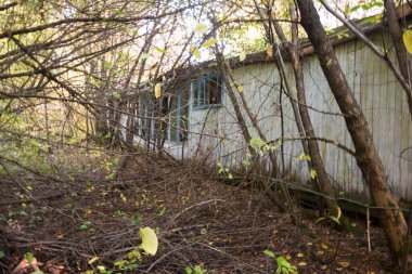 Çocuk kampının terk edilmiş toprakları