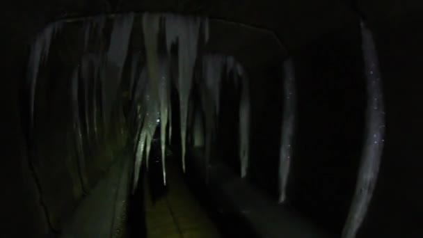 Icicles Illuminated Light Dark — Stock Video