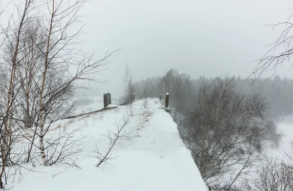 Aan Top Van Het Spoorwegviaduct Winter — Stockfoto
