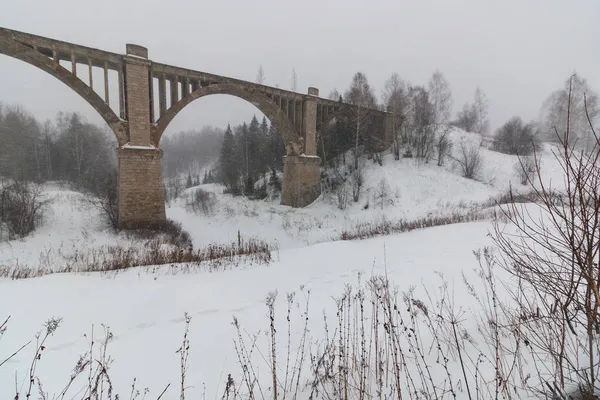 Viaducto Ferroviario Época Invierno —  Fotos de Stock