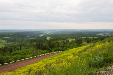 Ormanda gün doğumunun görüntüsü