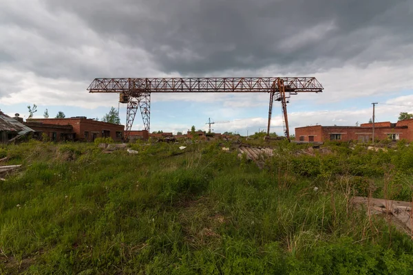 Γερανός Gantry Καλοκαίρι Στο Γρασίδι — Φωτογραφία Αρχείου