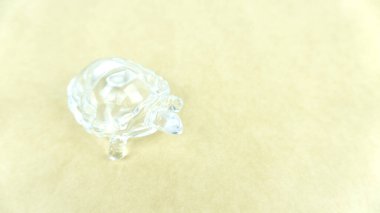 Kum zemininde kaplumbağa heykeli