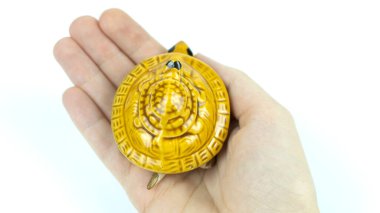 Seramik küçük sarı kaplumbağa iyi şans getirir.