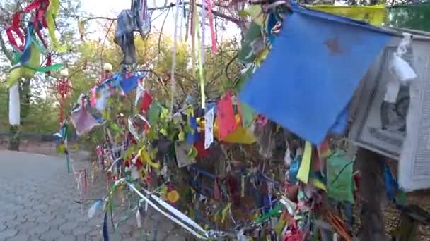 Ribbons Messages Trees Buddhist Faith — ストック動画