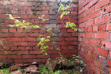 Terk edilmiş bir binada fabrikalar. Bitmemiş tuğla ev. Terk edilmiş bina