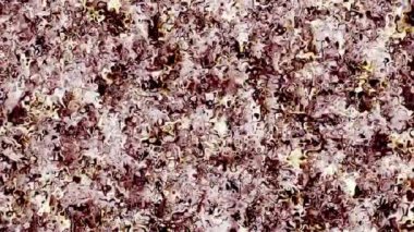 Hiç değişmeyen erimiş sıvının 4k arkaplan videosu