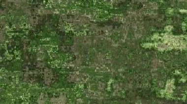 Ayrıntılı parçacık dokusunu canlı renklerle değiştiren 4k arkaplan videosu