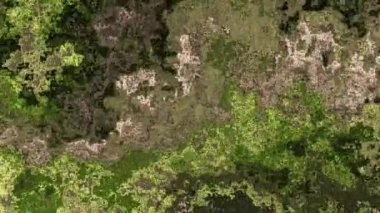 Ayrıntılı parçacık dokusunu canlı renklerle değiştiren 4k arkaplan videosu