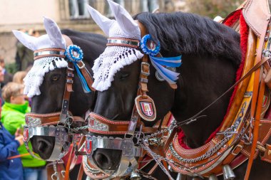 17 Eylül 2022 'de Münih, Almanya' da Covid-19 'da iki yıl durakladıktan sonra Ekim Festivali' nin açılış töreni. At arabaları ve orkestraları Oktoberfest geçit törenine katılıyor..