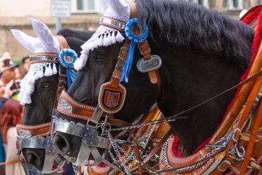 17 Eylül 2022 'de Münih, Almanya' da Covid-19 'da iki yıl durakladıktan sonra Ekim Festivali' nin açılış töreni. At arabaları ve orkestraları Oktoberfest geçit törenine katılıyor..