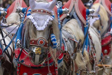 17 Eylül 2022 'de Münih, Almanya' da Covid-19 'da iki yıl durakladıktan sonra Ekim Festivali' nin açılış töreni. At arabaları ve orkestraları Oktoberfest geçit törenine katılıyor..