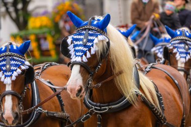17 Eylül 2022 'de Münih, Almanya' da Covid-19 'da iki yıl durakladıktan sonra Ekim Festivali' nin açılış töreni. At arabaları ve orkestraları Oktoberfest geçit törenine katılıyor..