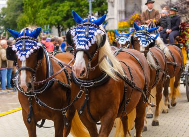 17 Eylül 2022 'de Münih, Almanya' da Covid-19 'da iki yıl durakladıktan sonra Ekim Festivali' nin açılış töreni. At arabaları ve orkestraları Oktoberfest geçit törenine katılıyor..